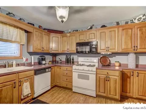 308 E Oak Grv, Athens, IL 62613 photo 10