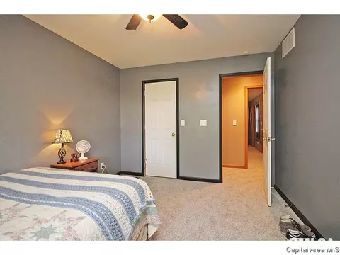 308 E Oak Grv, Athens, IL 62613 photo 23