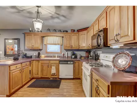 308 E Oak Grv, Athens, IL 62613 photo 12
