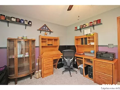 308 E Oak Grv, Athens, IL 62613 photo 21