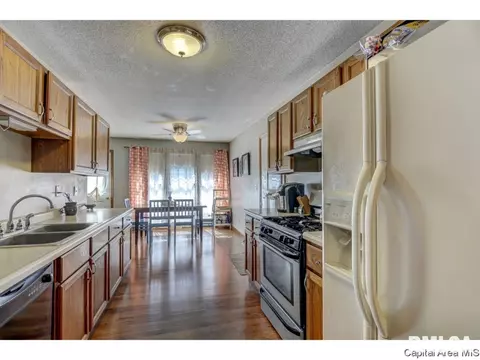 302 E Lynwood Dr, Athens, IL 62613 photo 10