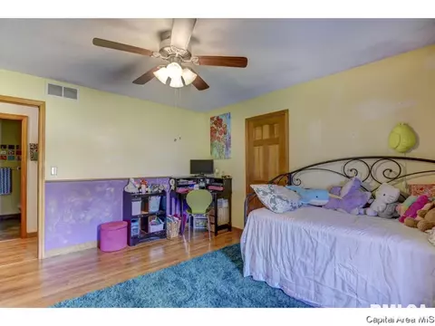 302 E Lynwood Dr, Athens, IL 62613 photo 18
