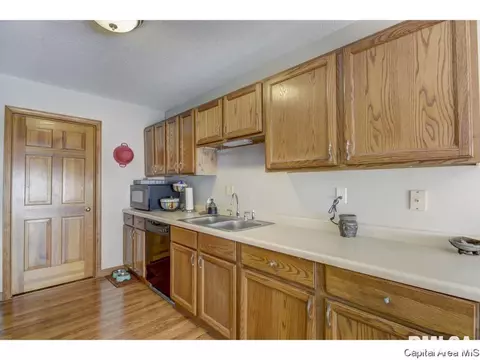 302 E Lynwood Dr, Athens, IL 62613 photo 9