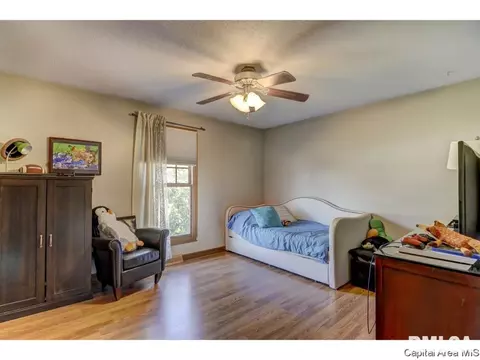 302 E Lynwood Dr, Athens, IL 62613 photo 14