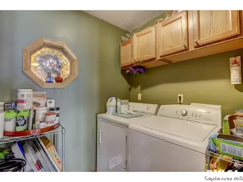 302 E Lynwood Dr, Athens, IL 62613 photo 24