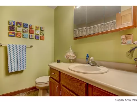 302 E Lynwood Dr, Athens, IL 62613 photo 26