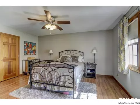 302 E Lynwood Dr, Athens, IL 62613 photo 21