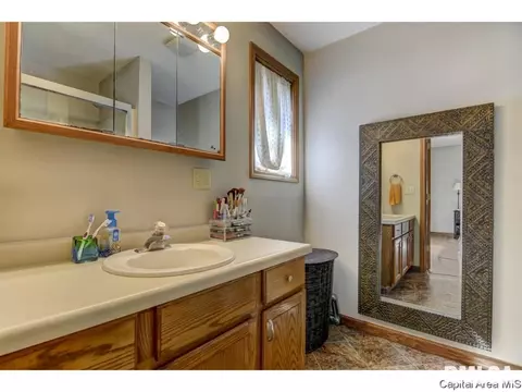 302 E Lynwood Dr, Athens, IL 62613 photo 25