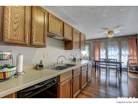 302 E Lynwood Dr, Athens, IL 62613 photo 11