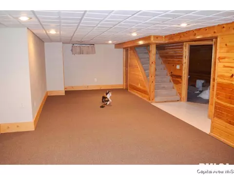 1904 Hamilton, Springfield, IL 62704 photo 22