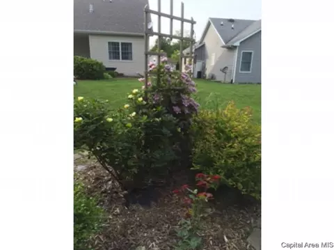 791 Shoshoni, Springfield, IL 62711 photo 12