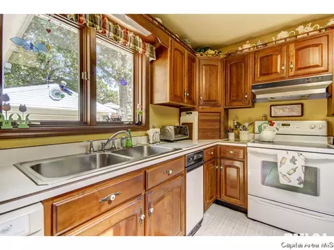 709 Williams, Springfield, IL 62704 photo 16