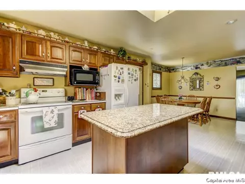 709 Williams, Springfield, IL 62704 photo 18