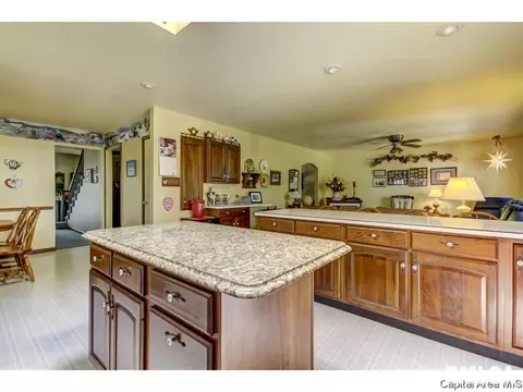 709 Williams, Springfield, IL 62704 photo 17