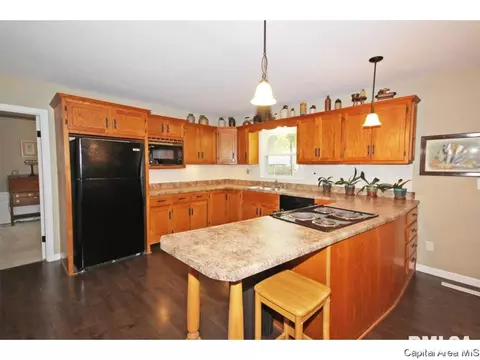 120 Greencastle, Springfield, IL 62712 photo 9