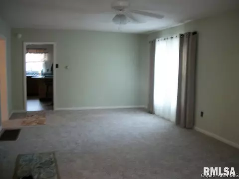 206 N Stanton, Bluffs, IL 62621 photo 2