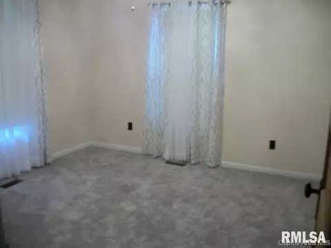 206 N Stanton, Bluffs, IL 62621 photo 5