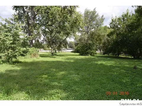 924 N Milton Ave, Springfield, IL 62702 photo 5