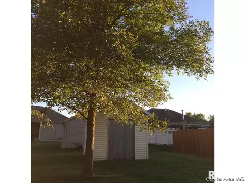 6704 Becker Dr, Virden, IL 62690 photo 25