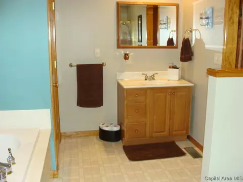 6704 Becker Dr, Virden, IL 62690 photo 16