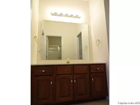 2425 Shabbona Dr, Springfield, IL 62702 photo 14