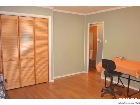 213 Circle Dr, Springfield, IL 62703 photo 22