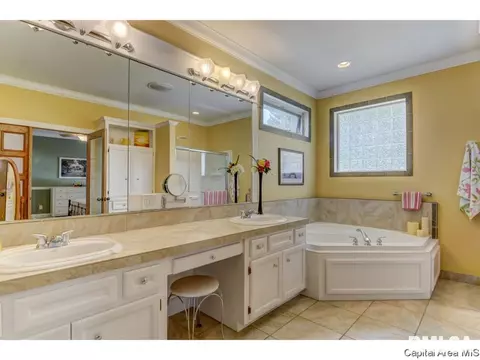 3517 Tamarak, Springfield, IL 62712 photo 26