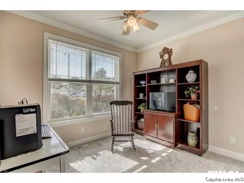 3517 Tamarak, Springfield, IL 62712 photo 25