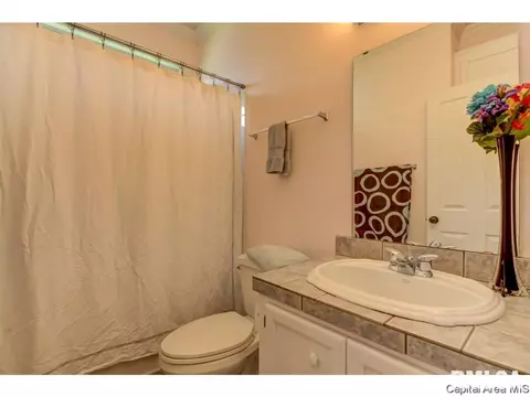 3517 Tamarak, Springfield, IL 62712 photo 28