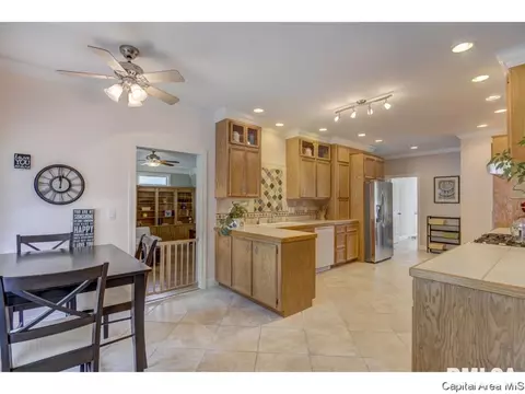 3517 Tamarak, Springfield, IL 62712 photo 14