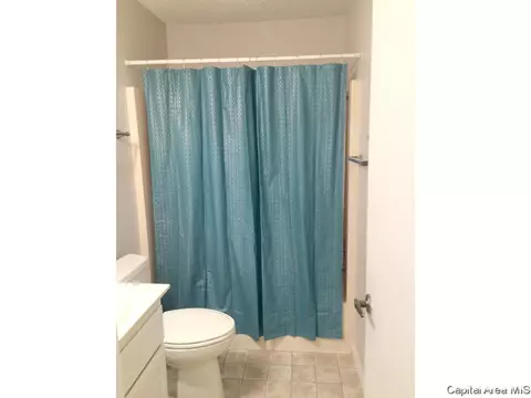 139 N Douglas, Springfield, IL 62702 photo 17