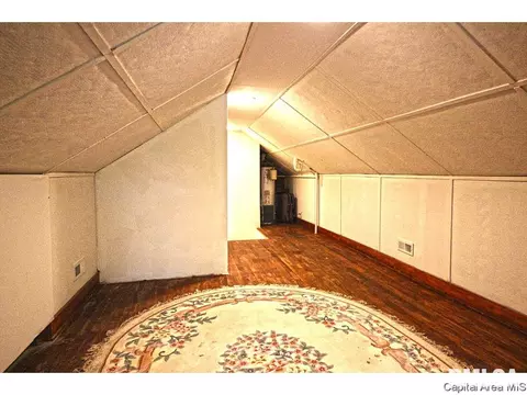 1315 S Park Ave, Springfield, IL 62704 photo 21