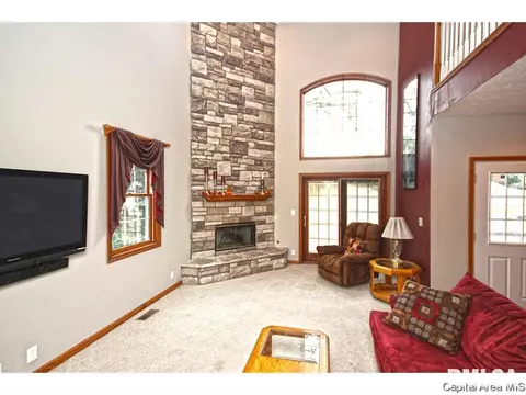 1315 S Park Ave, Springfield, IL 62704 photo 7