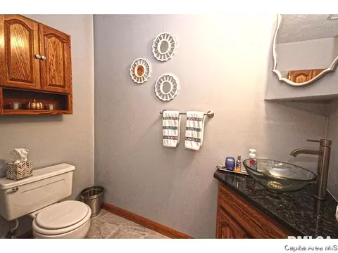 1315 S Park Ave, Springfield, IL 62704 photo 18