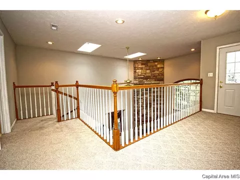 1315 S Park Ave, Springfield, IL 62704 photo 20