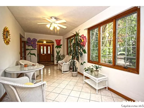 1315 S Park Ave, Springfield, IL 62704 photo 4