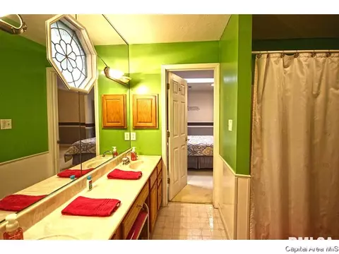 1315 S Park Ave, Springfield, IL 62704 photo 17