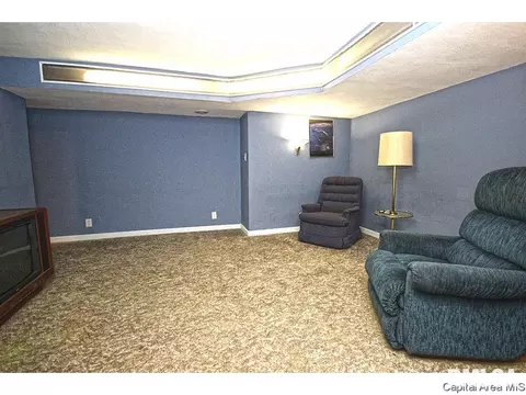 1315 S Park Ave, Springfield, IL 62704 photo 19