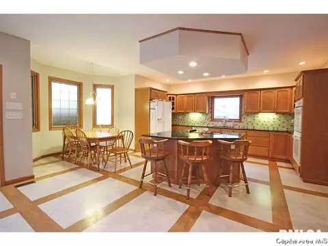 1315 S Park Ave, Springfield, IL 62704 photo 11