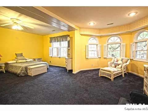 1315 S Park Ave, Springfield, IL 62704 photo 15
