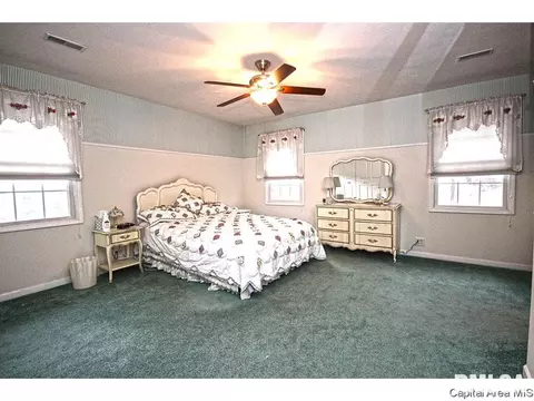 1315 S Park Ave, Springfield, IL 62704 photo 14