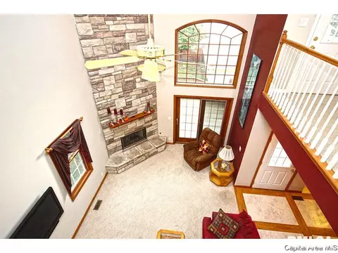 1315 S Park Ave, Springfield, IL 62704 photo 6