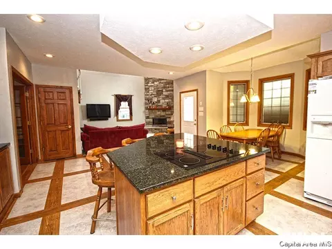 1315 S Park Ave, Springfield, IL 62704 photo 12
