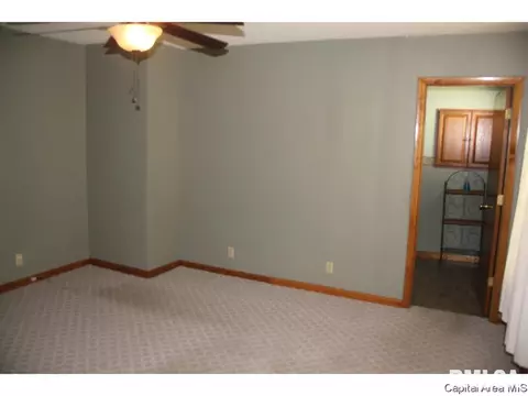 109 N State, Springfield, IL 62702 photo 15