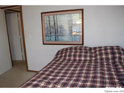 309 E Sangamon Ave, Springfield, IL 62702 photo 13