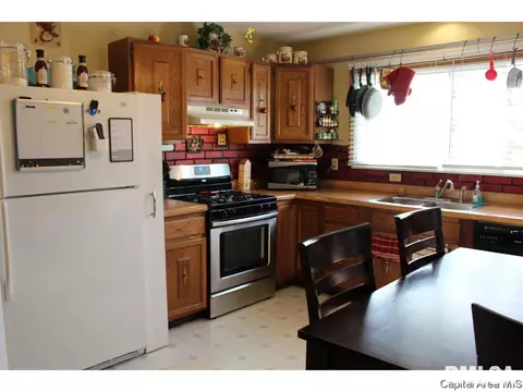 309 E Sangamon Ave, Springfield, IL 62702 photo 5