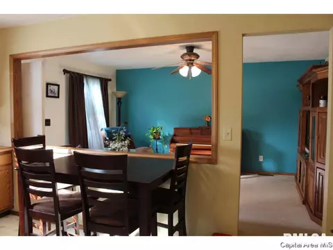 309 E Sangamon Ave, Springfield, IL 62702 photo 1
