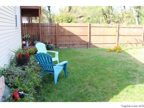 309 E Sangamon Ave, Springfield, IL 62702 photo 22