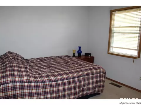 309 E Sangamon Ave, Springfield, IL 62702 photo 14