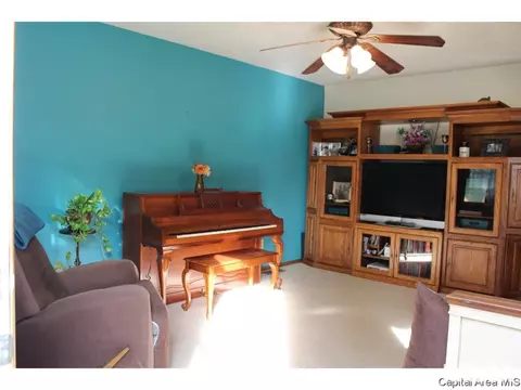 309 E Sangamon Ave, Springfield, IL 62702 photo 3